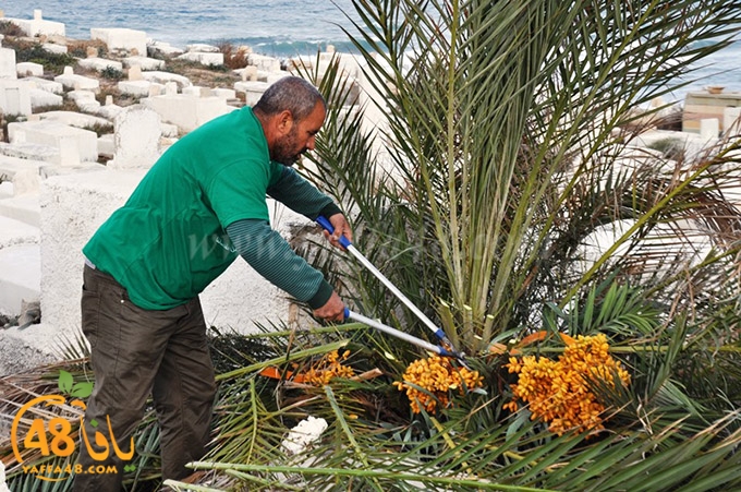 tasoo kazakhana (7).JPG